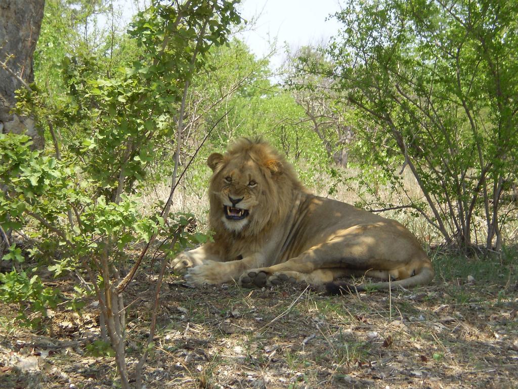 Manzini River House - Mjejane Private Game Reserve, Greater Kruger National Park Hectorspruit Exterior photo